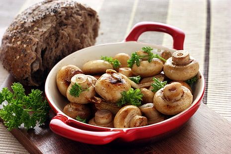 braunes Pilzlos, Pilz, Makro, Lebensmittel, HD-Hintergrundbild HD wallpaper