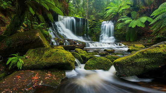Водопади, водопад, земя, папрат, гора, зелено, джунгла, мъх, тропически, HD тапет HD wallpaper