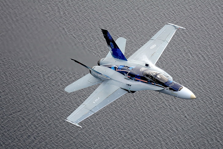 gris y azul McDonnell Douglas F-16E Strike Eagle, cf-18, avispón, avión, mar, Fondo de pantalla HD