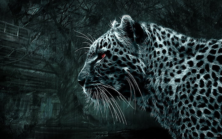 леопард цифров тапет, леопард, картина, червени очи, дива котка, външен вид, черно-бяла картина, HD тапет