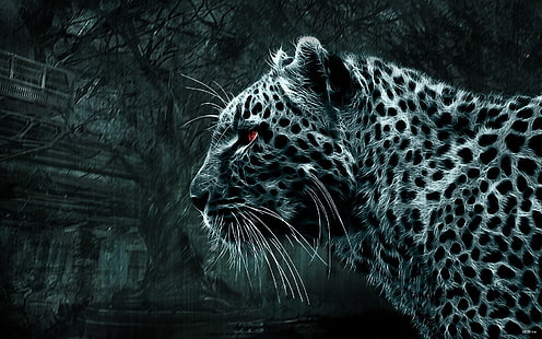 leopard digital wallpaper, leopard, Picture, red eyes, wild cat, looks, black and white picture, HD wallpaper HD wallpaper