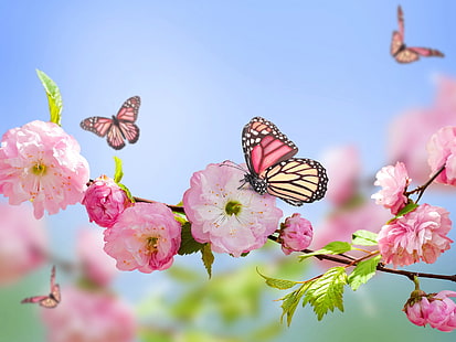 Primavera, fiori rosa, farfalle, cielo blu, primavera, rosa, fiori, farfalle, blu, cielo, Sfondo HD HD wallpaper
