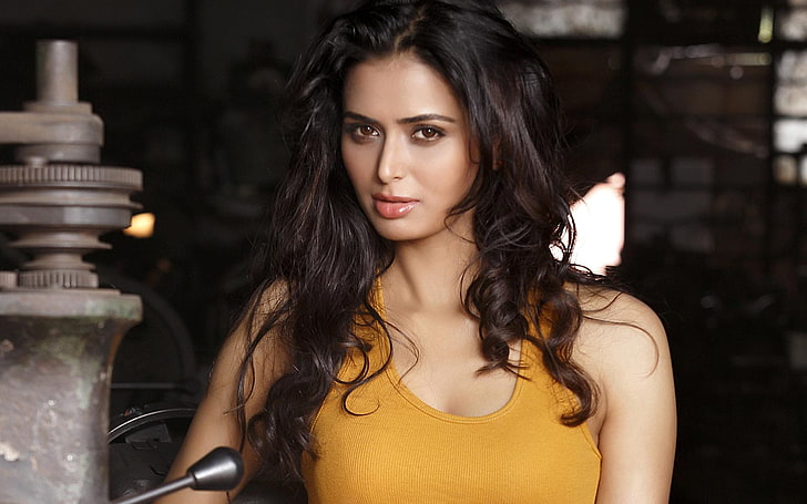 Meenakshi Dixit, gelbes Damenoberteil, Bollywood-Prominente, weibliche Prominente, Bollywood, Schauspielerin, HD-Hintergrundbild
