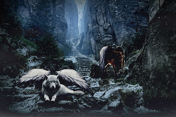 weißer Wolf mit Flügeln digitale Tapete, Wolf, Schnee, Engel, Dämon, HD-Hintergrundbild