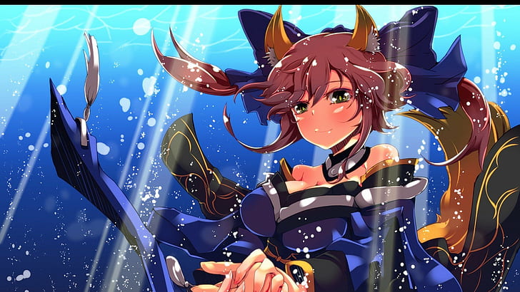 Animal Ears, Caster (Fate, Extra, Fate, Fate Series, HD wallpaper