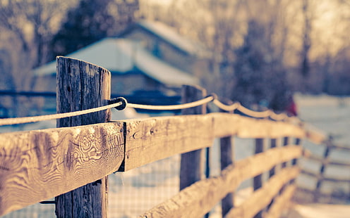 macro, background, widescreen, Wallpaper, the fence, blur, wooden, full screen, HD wallpapers, fullscreen, HD wallpaper HD wallpaper