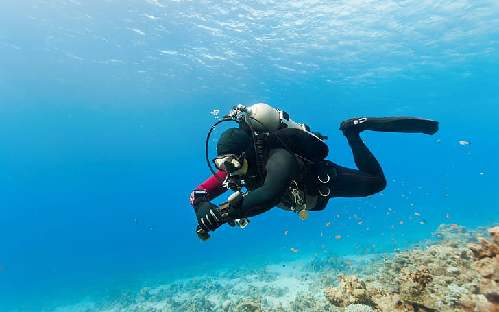 Diving recreational activity, black diving suit, diving equipment, water, recreational activity, HD wallpaper