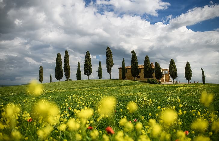 clouds, trees, landscape, flowers, nature, spring, Italy, meadows, cypress, Tuscany, HD wallpaper