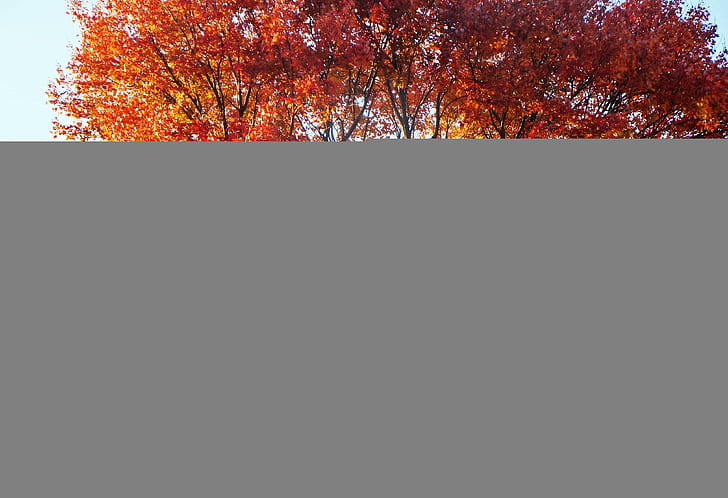 Malownicza jesień, piękna jesień, malownicza jesień, widok na jesień, ładna jesień, Tapety HD
