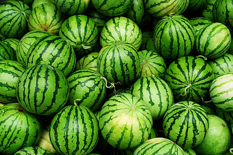 watermelon fruits, strips, green, watermelon, HD wallpaper HD wallpaper