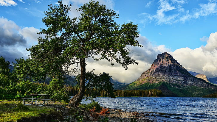 Nature, Landscape, Mountain, Water, Lake, Trees, Montana, USA, Glacier National Park, Bench, Hill, nature, landscape, mountain, water, lake, trees, montana, usa, glacier national park, bench, HD wallpaper