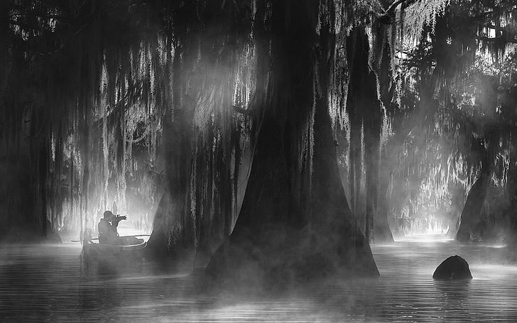 nature, landscape, cypress, trees, mist, atmosphere, photographer, water, boat, Louisiana, sunlight, monochrome, forest, camera, HD wallpaper