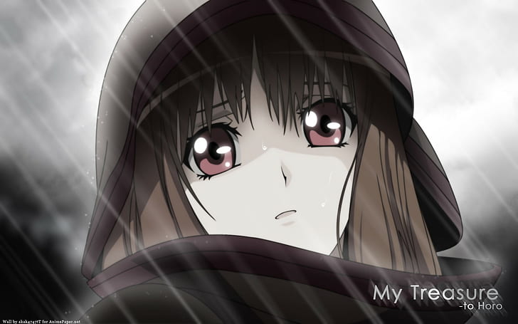Spice and wolf, Girl, Brunette, Grief, Look, Hoody, HD wallpaper