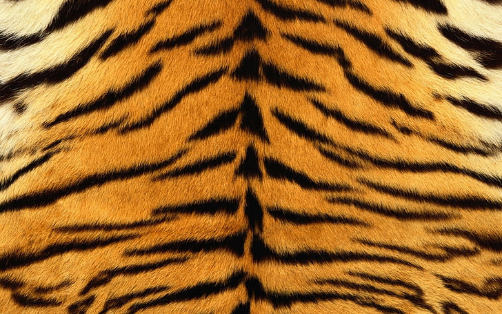 peau de tigre brune et noire, peau, tigre, rayures, fourrure, rayée, Fond d'écran HD