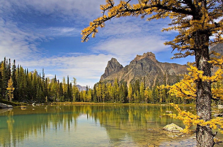 wald, see, berge, beschaffenheit, landschaft, fall, bäume, HD-Hintergrundbild