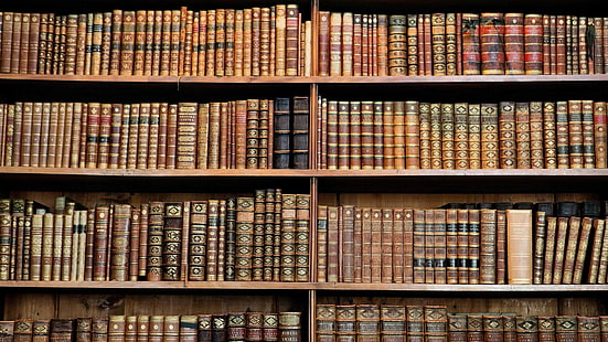 книга, библиотека, атенеум, старинные книги, полки, HD обои HD wallpaper