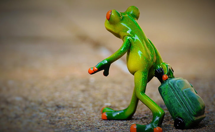 Leaving, green frog holding green luggage bag, Cute, Travel, Frog, luggage, Holdall, GoAway, Farewell, HD wallpaper