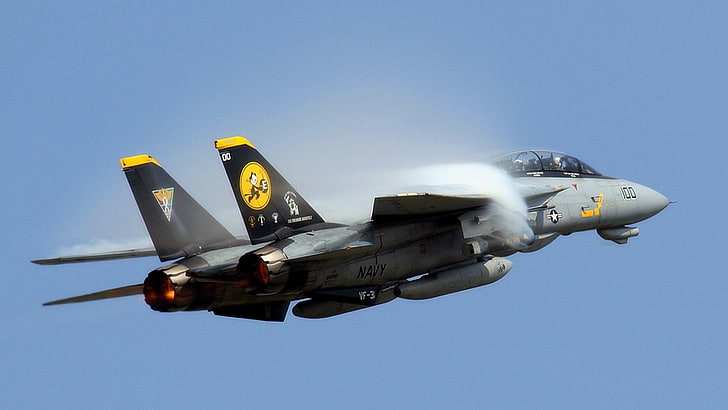 серый и черный истребитель, самолет, реактивный истребитель, военный, F-14 Tomcat, военный самолет, транспортное средство, HD обои
