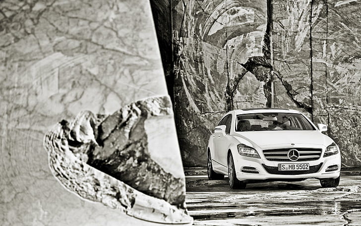 Mercedes Benz CLS Shooting Brake, berlina mercedez benz bianca, tiro, freno, mercedes, benz, automobili, mercedes benz, Sfondo HD
