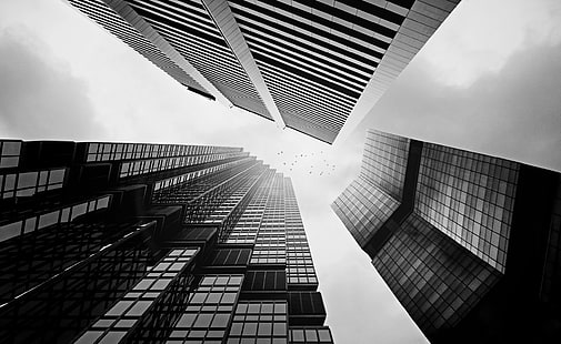 Skyscrapers In Black And White, aerial photography of high-rise building, Black and White, White, Black, Skyscrapers, HD wallpaper HD wallpaper