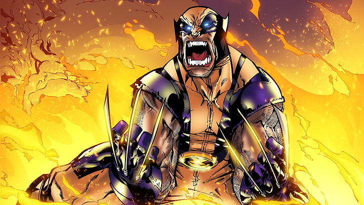 Wolverine dall'illustrazione X-Men, Wolverine, X-Men, fuoco, Marvel Comics, Sfondo HD