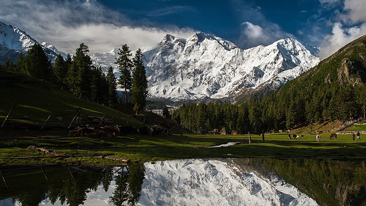 заснеженные горы, горы, снег, лес, деревья, сосны, Пакистан, Нанга Парбат, озеро, отражение, HD обои