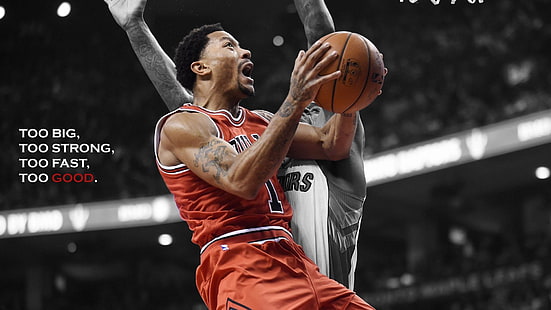 Basket, Chicago Bulls, Derrick Rose, NBA, Sfondo HD HD wallpaper