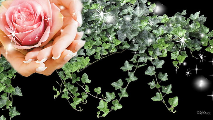Rosa in H, mano, stelle, fiore, fiore, scintilla, manicure, astratto, lucentezza, unghie, rosa, natura e paesaggi, Sfondo HD