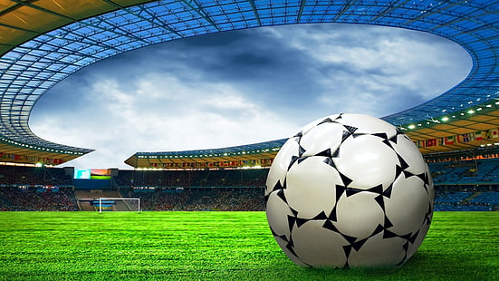 ball, soccer ball, soccer, football, score, sport, game equipment, game, team, goal, equipment, competition, play, kick, player, match, championship, cup, success, field, fun, world, grass, leather, sports, flag, sphere, point of view, playing, exercise, 3d, active, leisure, child, league, boy, athletic, HD wallpaper HD wallpaper