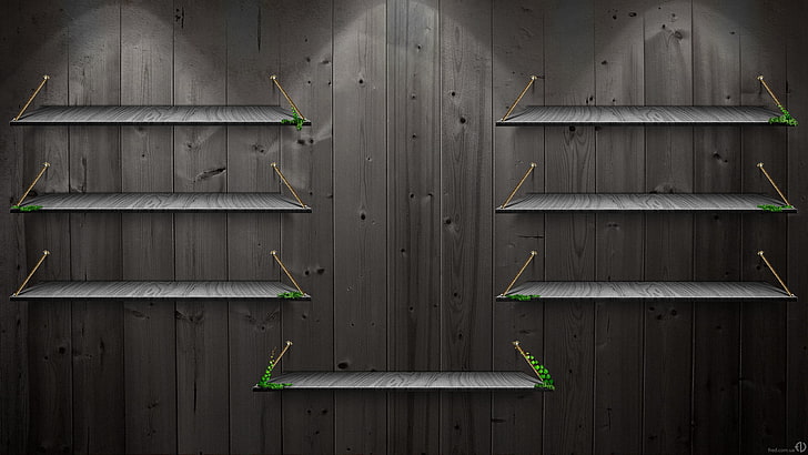 seven gray wall racks, greens, tree, black, texture, shelves, HD wallpaper