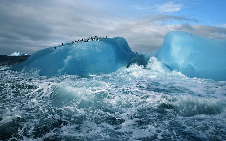 lód, pingwiny, zwierzęta, góra lodowa, przyroda, Arktyka, morze, cyjan, Tapety HD