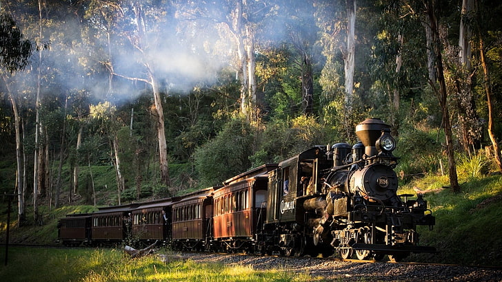 коричневый паровоз, пейзаж, поезд, железная дорога, природа, паровоз, Австралия, деревья, лес, дым, трава, солнечный свет, HD обои