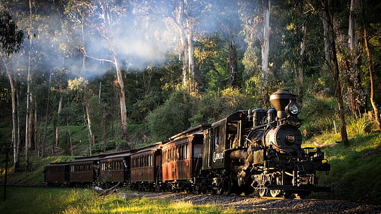 коричневый паровоз, пейзаж, поезд, железная дорога, природа, паровоз, Австралия, деревья, лес, дым, трава, солнечный свет, HD обои HD wallpaper