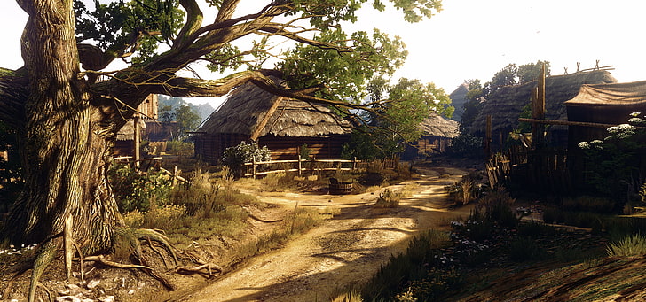 green leafed tree and brown house, village, Witcher-3, Little Village, HD wallpaper