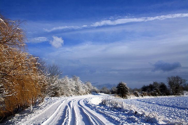 brown trees, netherlands, road, trees, sky, clouds, snow, clearly, HD wallpaper