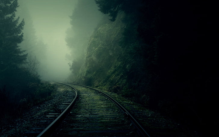 tågskenor, spårväg mellan träd omgiven av dimma, mörk, dimma, natur, järnväg, skog, tunnel, tåg, järnväg, träd, HD tapet