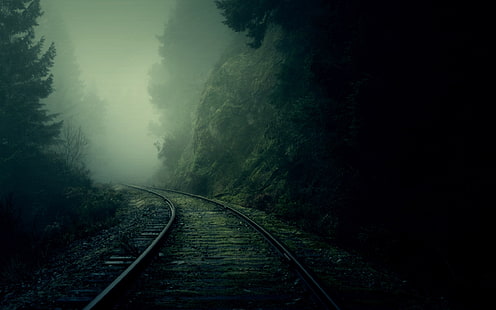 rieles de tren, sendero entre árboles rodeados de niebla, oscuridad, niebla, naturaleza, ferrocarril, bosque, túnel, tren, patio de ferrocarril, árboles, Fondo de pantalla HD HD wallpaper
