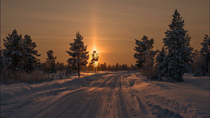 winter, snow, sky, road, tree, freezing, evening, light, path, dawn, sunlight, sunset, breathtaking, HD wallpaper