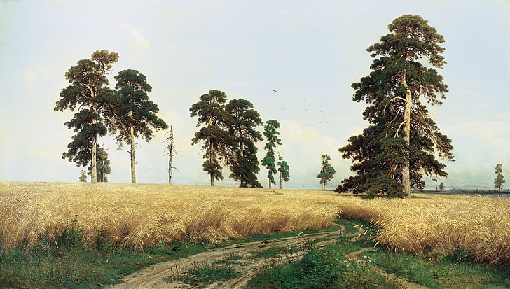 green trees, rye, picture, Shishkin, pine, HD wallpaper