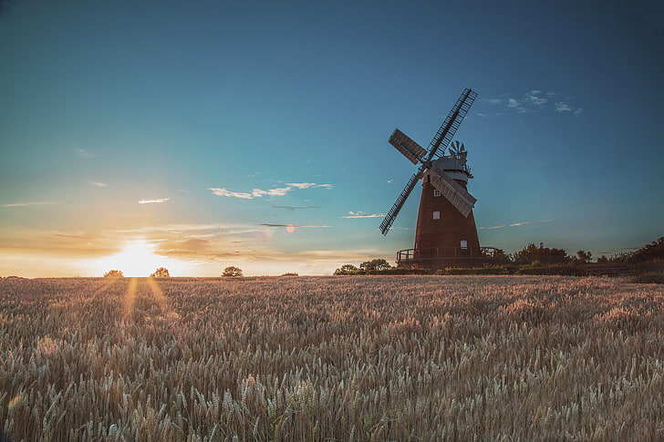 brown and white windmill, field, the sun, sunrise, morning, mill, wind, HD wallpaper