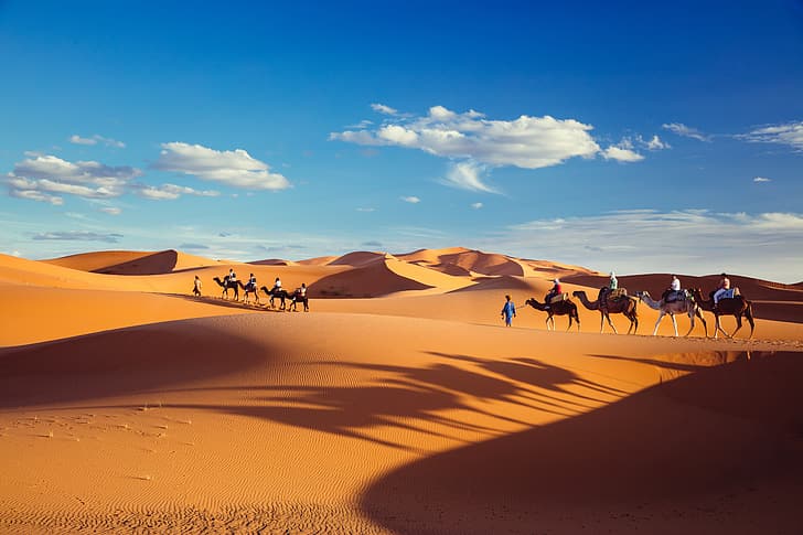 sand, the sky, clouds, desert, shadows, caravan, shipping Aliexpress, HD wallpaper