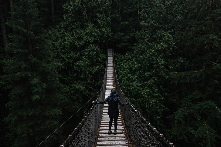 grå trähängbro, bro, upphängd, träd, människor, ensamhet, HD tapet
