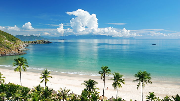 arena, blanca, mar, palmeras, playa, tropical, Tapety HD