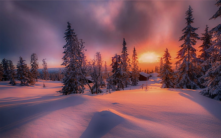 graue Kiefern, Natur, Landschaft, Wald, Sonnenuntergang, Häuschen, Winter, Schnee, Bäume, Kälte, Wolken, Norwegen, Gelb, Rot, Weiß, HD-Hintergrundbild