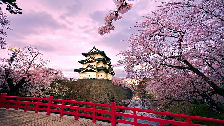 hirosaki castle, spring, castle, hirosaki, japan, cherry blossom, sakura, japanese, blossom, asia, japanese architecture, architecture, cloud, sky, HD tapet