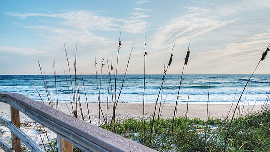 küste, himmel, gras, sanddünen, sandig, florida beach, strand, florida, vereinigte staaten, usa, HD-Hintergrundbild HD wallpaper