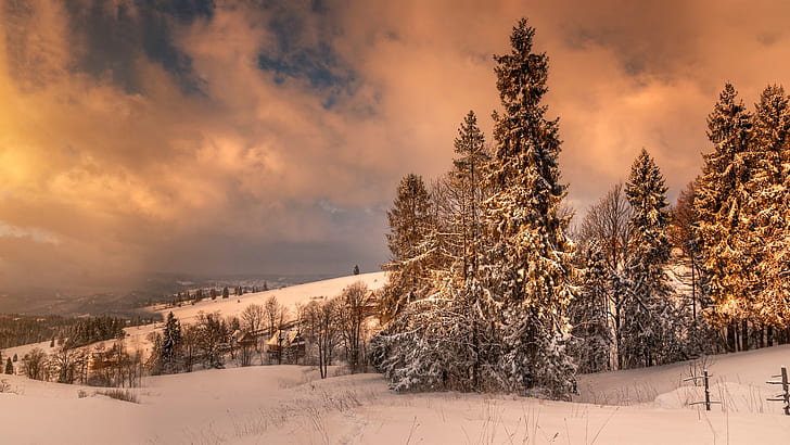 Zakopane, Poland, winter, snow, trees, clouds, dusk, Zakopane, Poland, Winter, Snow, Trees, Clouds, Dusk, HD wallpaper