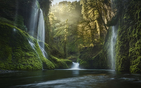 natur landskap Oregon vattenfall mossa skog dimma soluppgång usa tallar vatten dal flod, HD tapet HD wallpaper