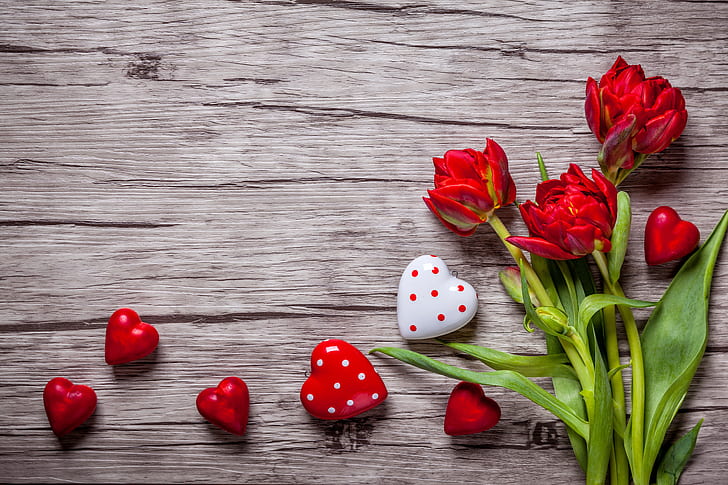 tulips, red, love, romantic, hearts, sweet, valentine`s day, HD wallpaper