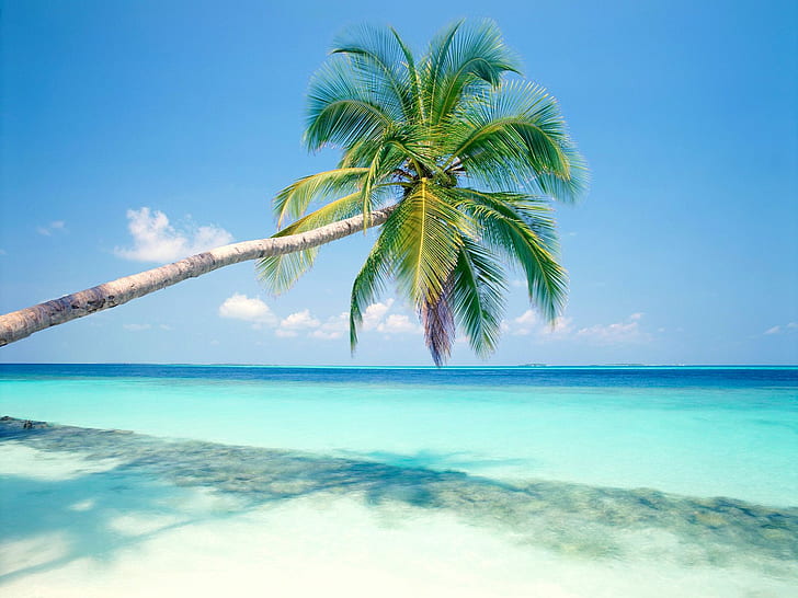 Isl tropis, pulau, tropis, Wallpaper HD